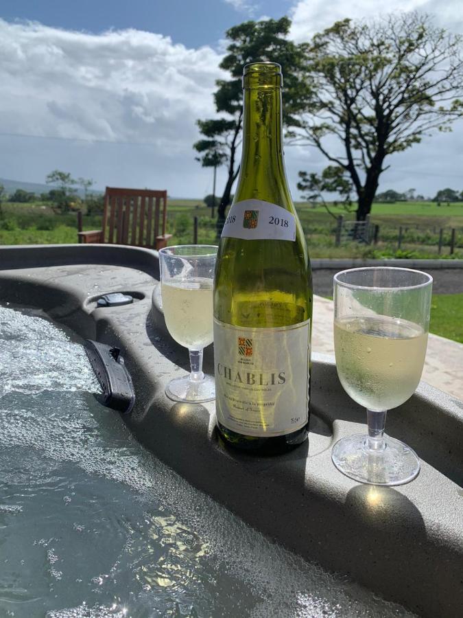 Deerfin Rentals Private Chalet With Hot Tub แบลลีมีนา ภายนอก รูปภาพ